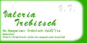 valeria trebitsch business card